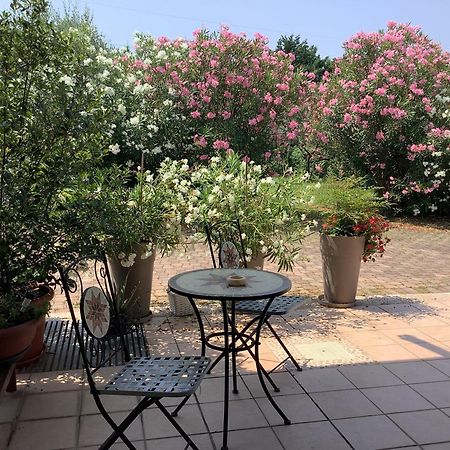 Edyshome بسكييرا ديل غاردا المظهر الخارجي الصورة