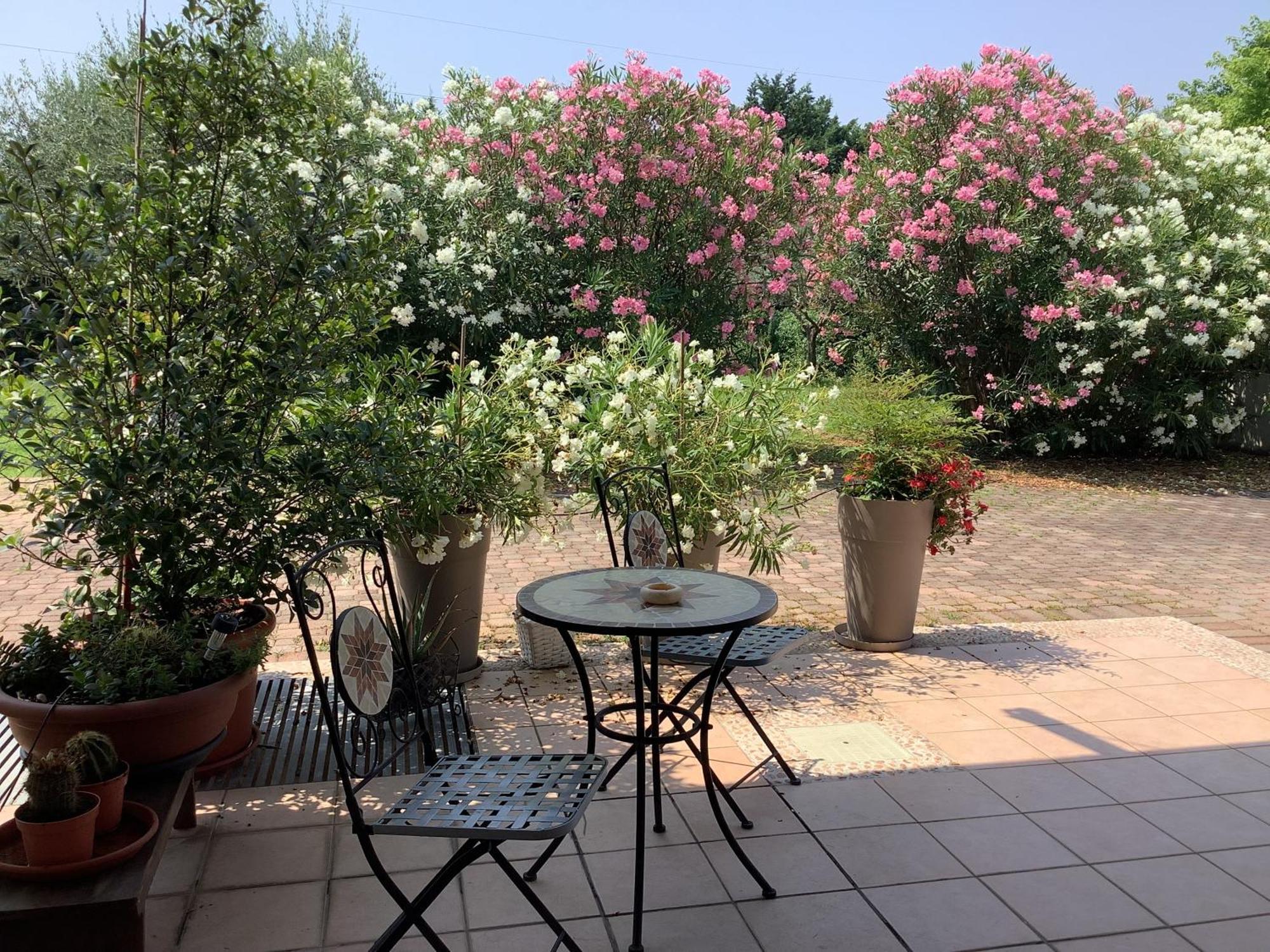 Edyshome بسكييرا ديل غاردا المظهر الخارجي الصورة